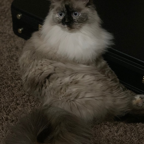 Meet your Posher, Terry - Picture 13 of 17